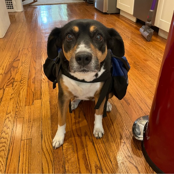 Saddlebag Style Dog Backpack - Picture 3 of 7